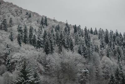 Peisaj de iarna la munte, cu zapada