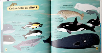 Delfini si balene, minieciclopedie Larousse, Editura Rao