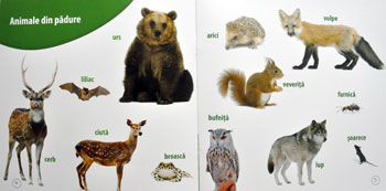 Invat animalele, Editura Gama, CD cu jocuri
