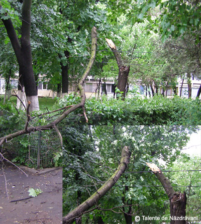 Furtuna in Bucuresti, mai 2010