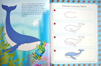 cum sa desenez delfini si alte animale marine teora