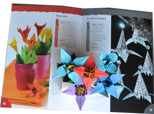 Crini origami, Editura Casa