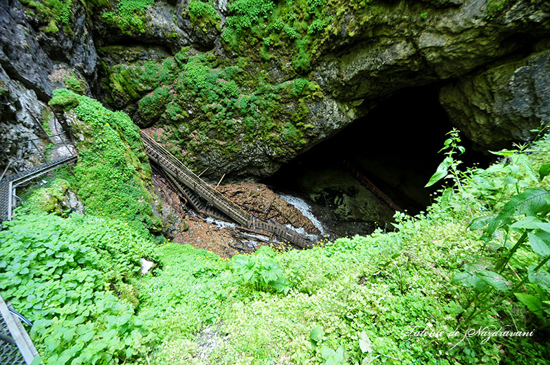 Peștera Ghetarul de la Scărișoara