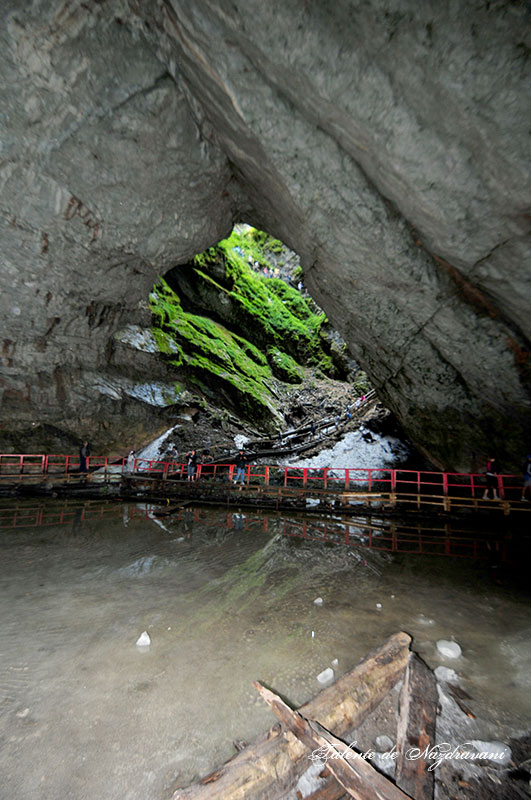 Peștera Ghetarul de la Scărișoara