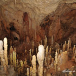 Peștera Urșilor - Parcul Național Apuseni